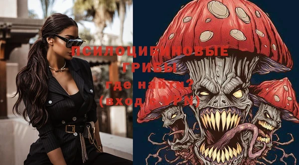 PSILOCYBIN Абаза