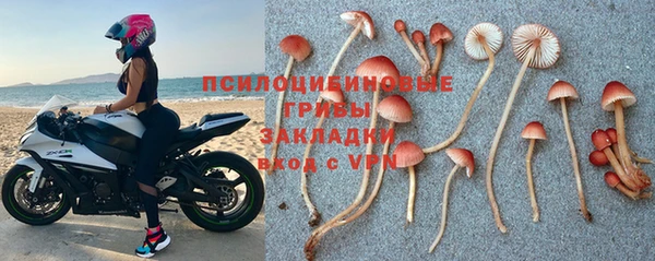 ECSTASY Абдулино