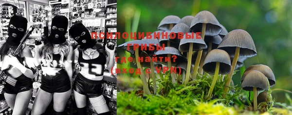 PSILOCYBIN Абаза