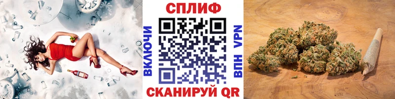 omg tor Мыски Бошки марихуана планчик